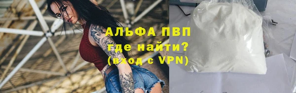 гашик Арсеньев