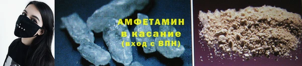 гашик Арсеньев