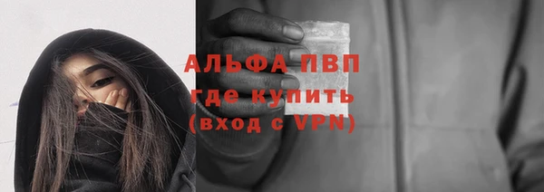 гашик Арсеньев